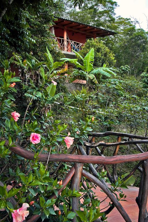 Hôtel Casa Madre Tierra à Vilcabamba Extérieur photo