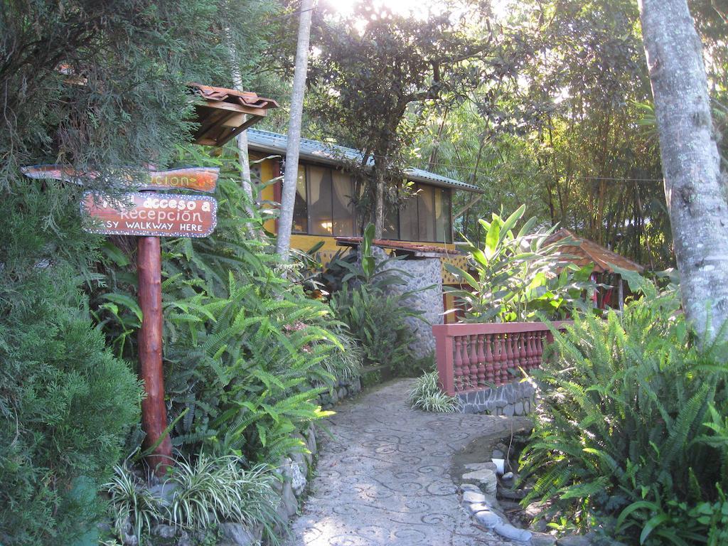 Hôtel Casa Madre Tierra à Vilcabamba Extérieur photo